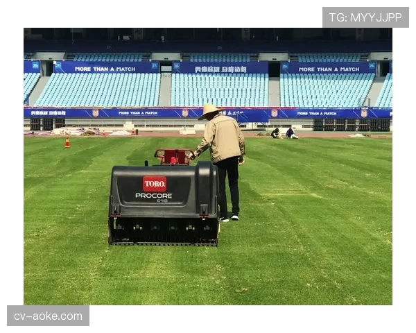 柏林赫塔新主场建设方案公布，将配备可调节通风系统以控制比赛日草皮状态